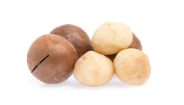 Macadamia Isolata Sfondo Bianco — Foto Stock