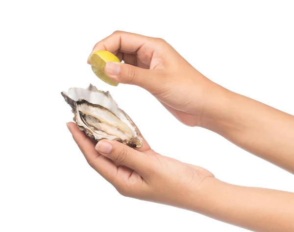 白地にレモンをスライスした牡蠣を手で握る — ストック写真