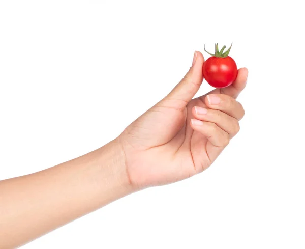 Trzymanie Ręki Świeże Pomidory Izolowane Białym Tle — Zdjęcie stockowe