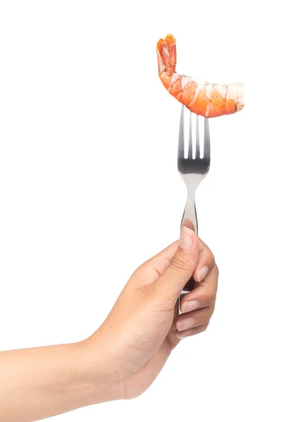 Holding Fork Eating Grilled Shrimp Isolated White Background — Stock Photo, Image