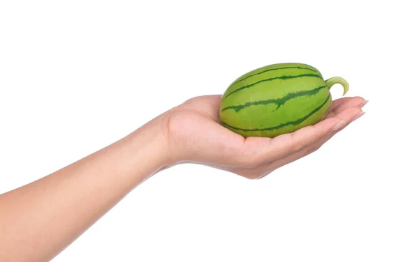 Hand Holding Watermelon Isolated White Background — Stock Photo, Image