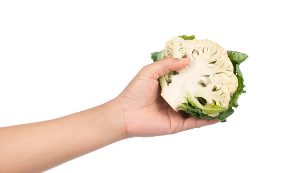 Hand Hält Scheibe Blumenkohl Isoliert Auf Weißem Hintergrund — Stockfoto