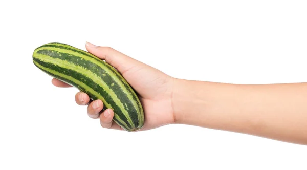 Hand Holding Cucumber Isolated White Background — Stock Photo, Image