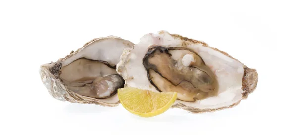 白を基調としたスライスレモンと新鮮な牡蠣 — ストック写真