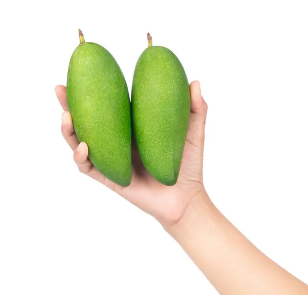 Hand Houden Groene Mango Geïsoleerd Een Witte Achtergrond — Stockfoto