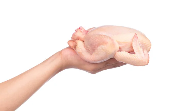 Mano Sosteniendo Pollo Crudo Aislado Sobre Fondo Blanco — Foto de Stock