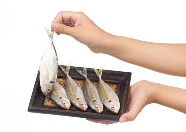 Mão Segurando Pequenos Peixes Bandeja Tecido Bambu Isolado Fundo Branco — Fotografia de Stock