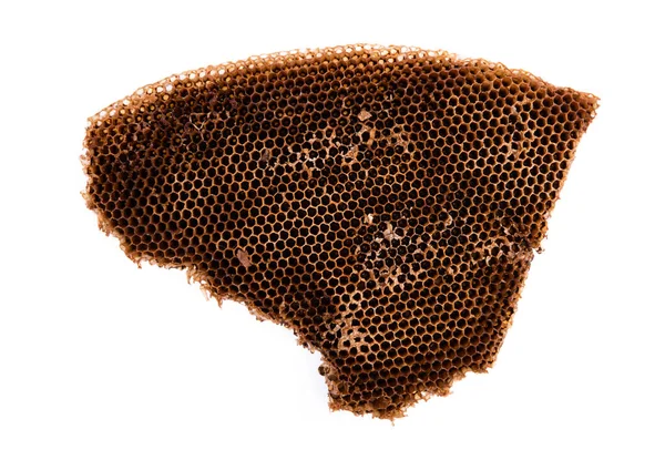 乾燥したハニカム 白い背景に隔離された蜂の巣 ロイヤリティフリーのストック写真