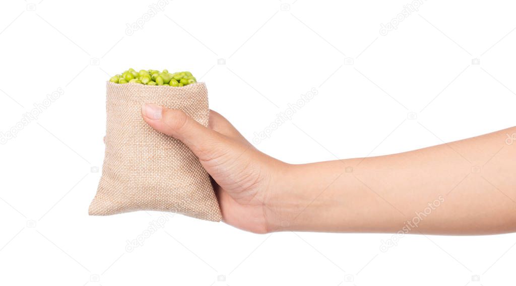hand holding Textile-burlap sack of string bean isolated on white background 