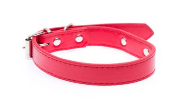 Beyaz bir arka plan üzerinde izole kırmızı köpek tasması