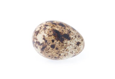 Beyaz arka planda izole edilmiş bıldırcın yumurtası.