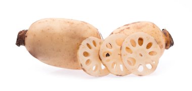 Nilüfer kökü beyaz arkaplanda izole