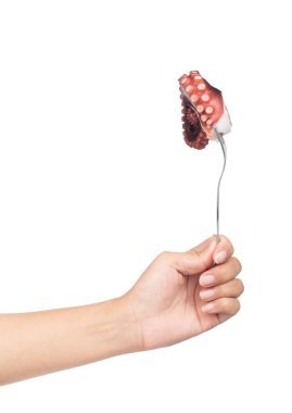 El ele tutuşan çatal, beyaz arka planda izole edilmiş ahtapot dokunaçları yemek.