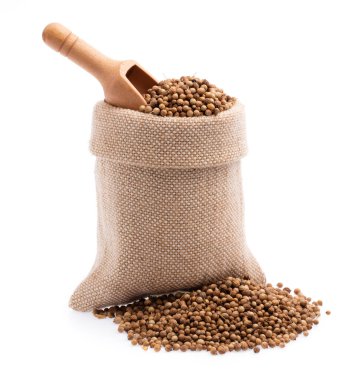 Beyaz arkaplanda izole edilmiş kişniş tohumları tekstil çuvalı