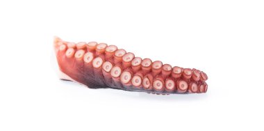 Beyaz arka plan üzerinde izole ahtapot tentacles