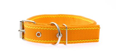 Beyaz arka planda izole edilmiş turuncu köpek tasması