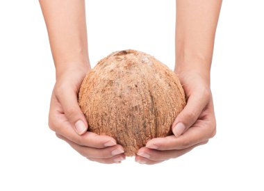 Hindistan cevizi tutarken Eski kahverengi beyaz arka planda izole