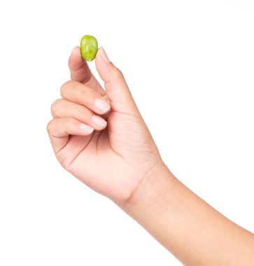 El ele tutuşan Parkia Specosa tohumları veya beyaz arka planda izole edilmiş acı fasulye