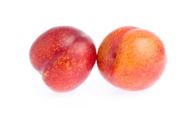 olgun yakut erik meyvesi beyaz arkaplanda izole