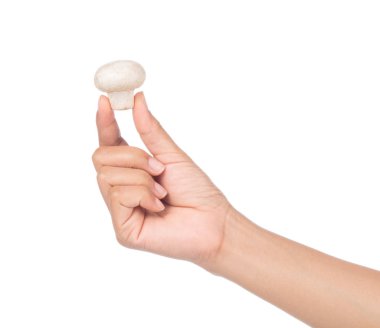 Şampiyon mantarı beyaz arka planda tek başına tutuyor.