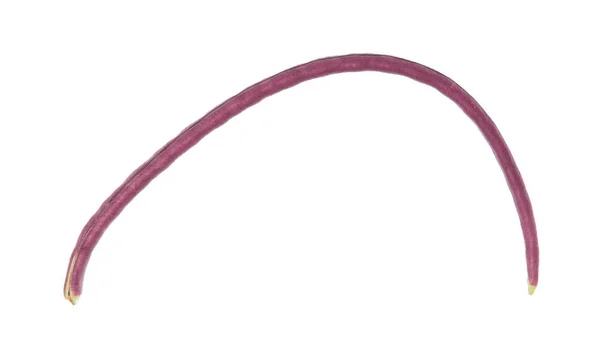 Feijão Yardlong Roxo Isolado Fundo Branco — Fotografia de Stock