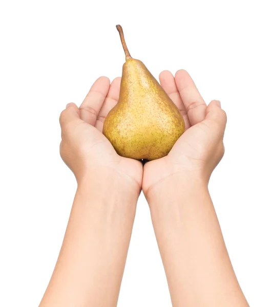 白い背景に孤立した茶色の梨を手にとって — ストック写真