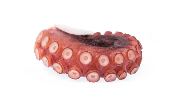 Tentáculos Pulpo Aislados Sobre Fondo Blanco — Foto de Stock