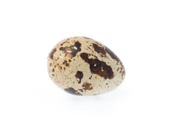 Quail Egg Isolated White Background — Stock Photo, Image