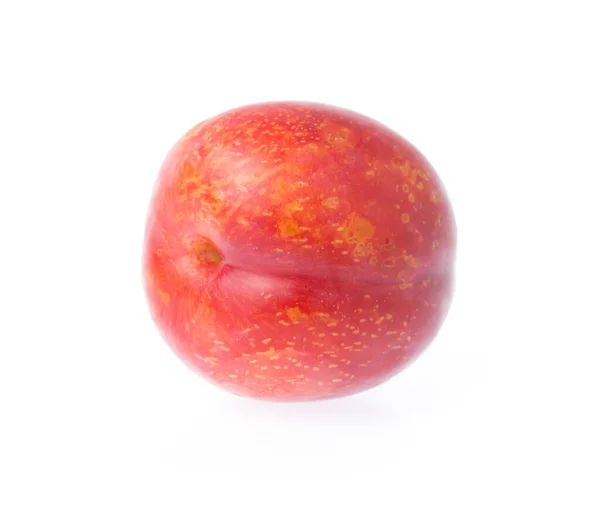 成熟的红宝石李果实 白色背景分离 — 图库照片