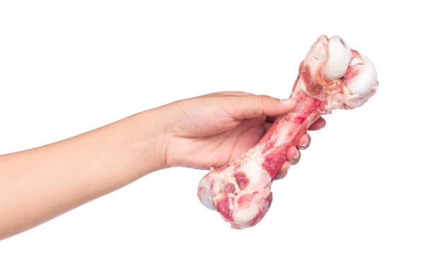 Hand Hält Rohe Knochen Isoliert Auf Weißem Hintergrund — Stockfoto