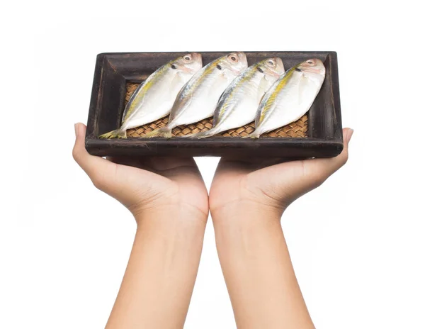 白地に隔離された竹製の盆に小魚を手で握る — ストック写真