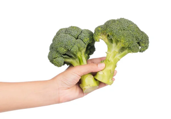 Ruka Drží Brokolice Izolovaných Bílém Pozadí — Stock fotografie