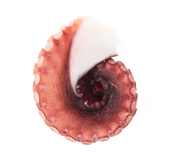 Tentakels Van Octopus Geïsoleerd Witte Achtergrond — Stockfoto