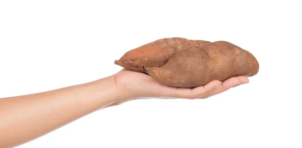 Hand Hält Frische Süßkartoffeln Isoliert Auf Weißem Hintergrund — Stockfoto