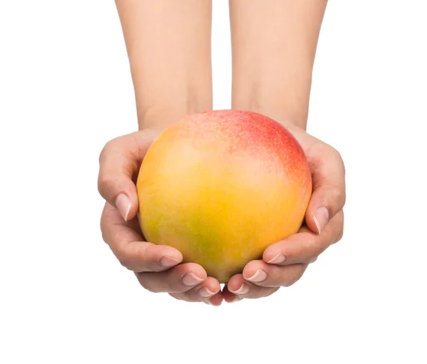 Mango Mano Frutta Isolato Sfondo Bianco — Foto Stock