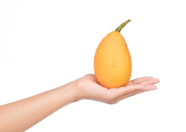 Mano Tenendo Sweet Gourd Isolato Sfondo Bianco — Foto Stock