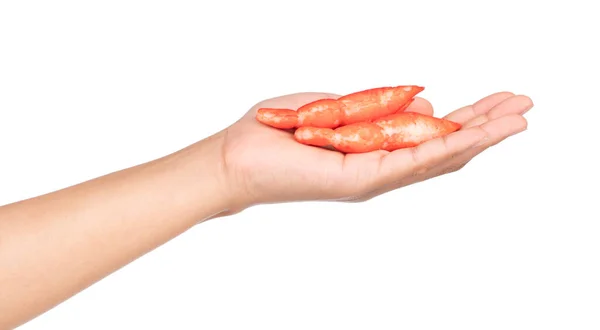 Hand Holding Claw Crab Isolated White Background — Stock Photo, Image