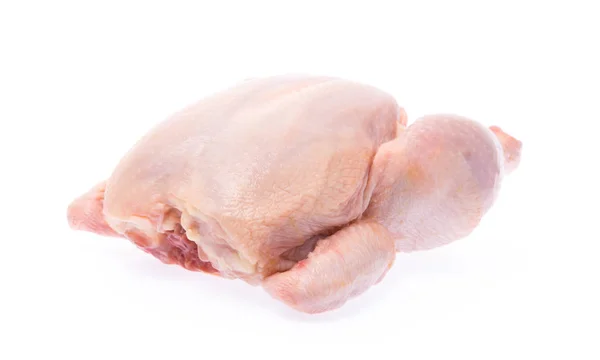 白地に隔離された生鶏 — ストック写真