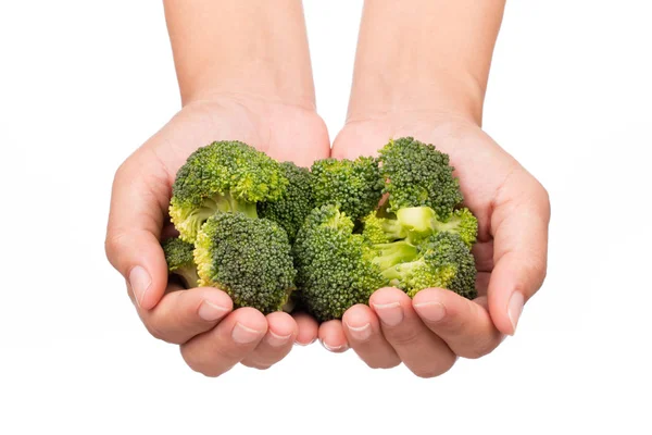 Tangan Memegang Broccoli Terisolasi Pada Latar Belakang Putih — Stok Foto
