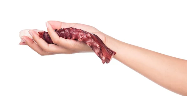 Mão Segurando Cru Octopus Isolado Fundo Branco — Fotografia de Stock