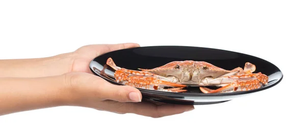 Main Tenant Crabe Cuit Préparé Sur Plaque Noire Isolé Sur — Photo