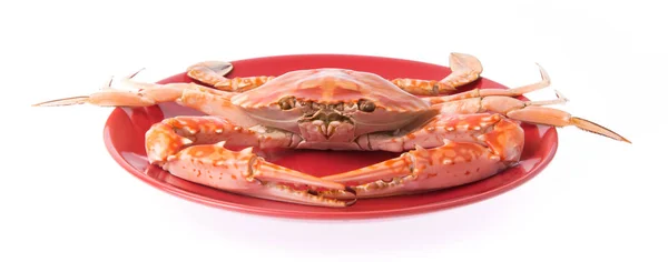 Crabe Cuit Préparé Sur Plaque Isolée Sur Fond Blanc — Photo