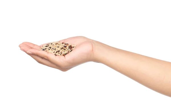 Mão Segurando Arroz Preto Cru Isolado Fundo Branco — Fotografia de Stock