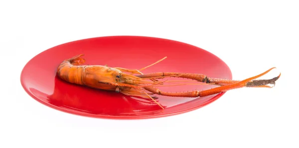 孤立在白色背景上的菜烤虾 — 图库照片