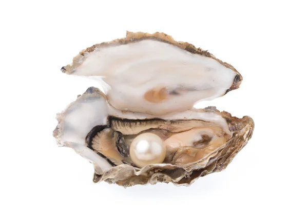 Open Oyster Pearl Isolated White Background Royalty Free Stock Photos