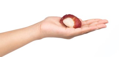 El ele tutuşan Somon Suşisi beyaz arka planda izole edildi