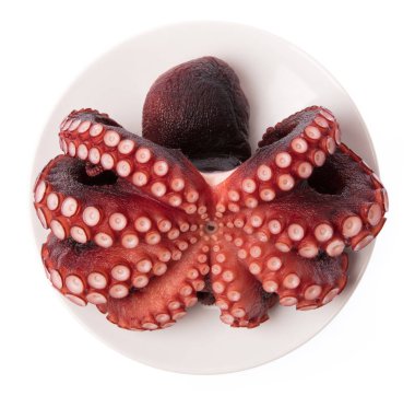 Beyaz arkaplanda izole edilmiş tabakta taze Octoonpus.