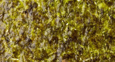 Beyaz arkaplanda yosun örtüleri izole