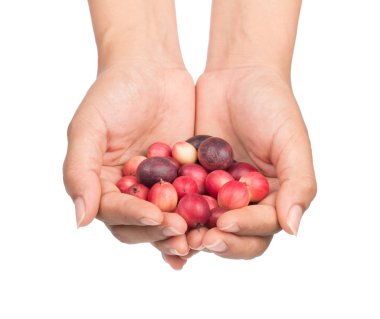 Carissa Carandas Linn, Karanda ve Carunda el ele tutuşuyorlar.