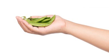 Beyaz arkaplanda el ele tutuşan fasulye 